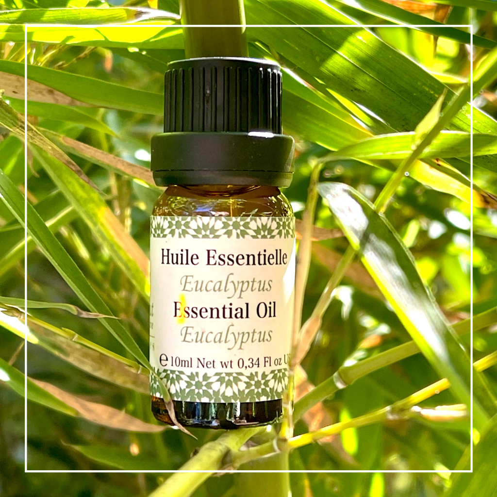 HUILE ESSENTIELLE Cooperative Yacout — free download