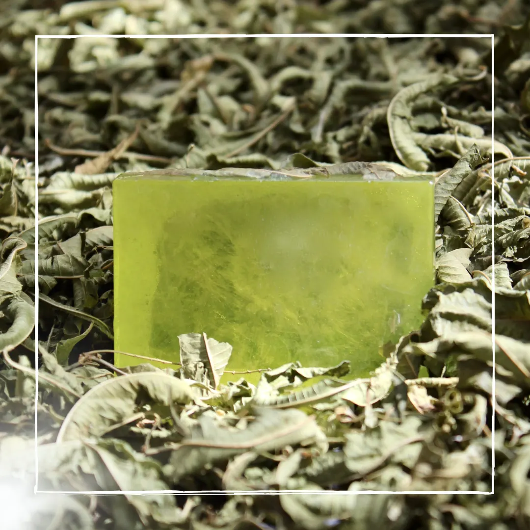 Savon Verveine