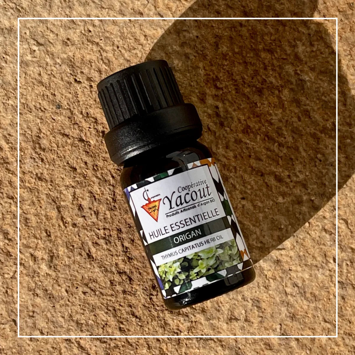 Oregano Essential Oil