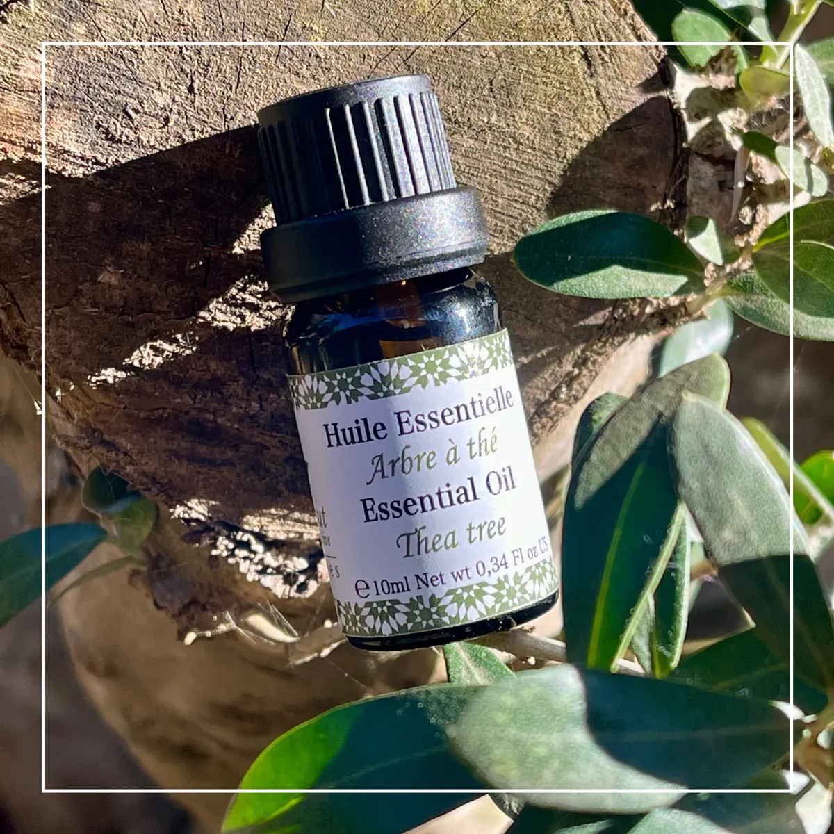 Tea Tree Essential Oil