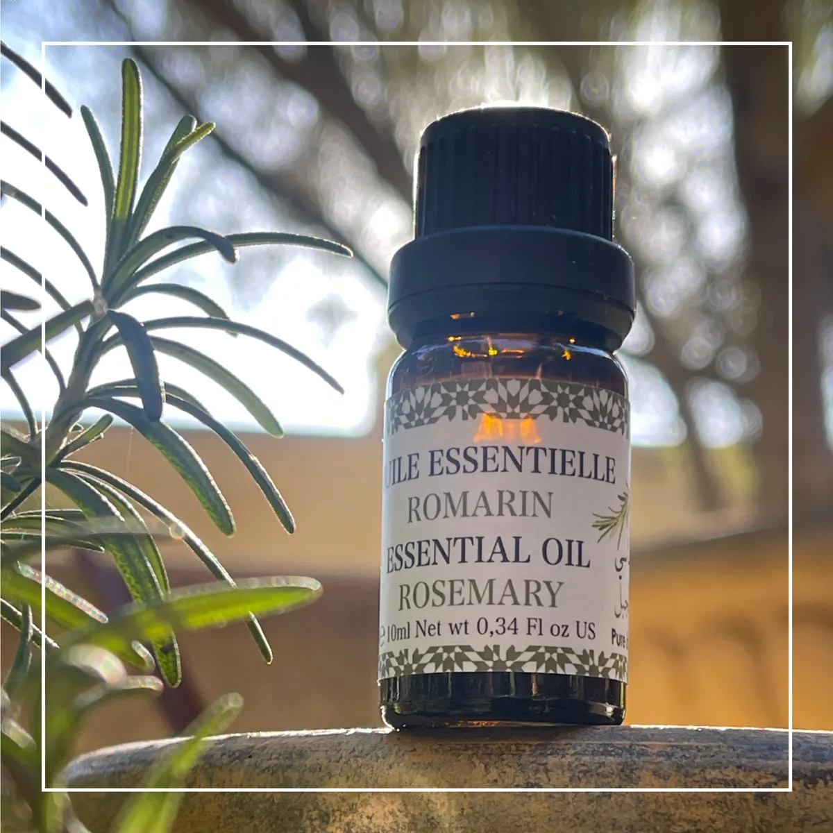 Rosemary Essential Oil