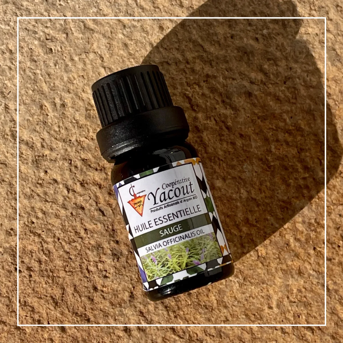 Sage Essential Oil
