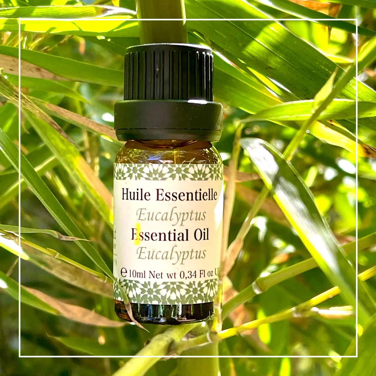 Aceite esencial de eucalipto