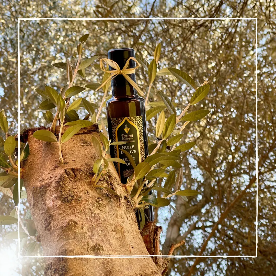 Aceite de oliva